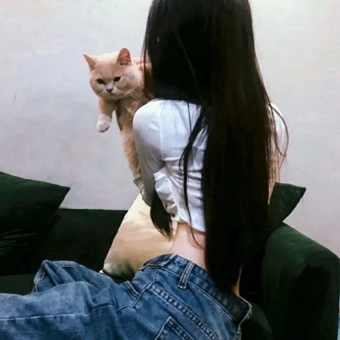 四渡赤水